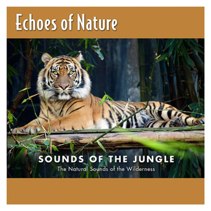 大保健偷拍在线播放
